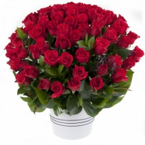 Basket of 20 White Roses 